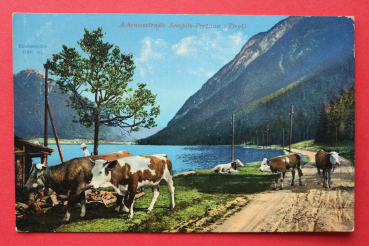 Postcard PC Seespitz Pertisau / 1915